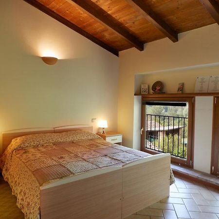 Agriturismo Ca' Del Ciuco Vezzano sul Crostolo Exterior foto